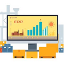 Custom ERP Systems